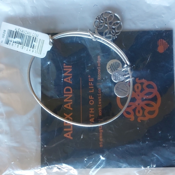 ALEX and ANI Path of Life Silver Bracelet - Picture 2 of 3